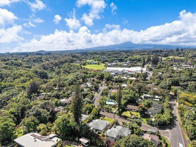 3217 Luahine Pl, Haiku, HI 96708 - bird's eye view of a forest