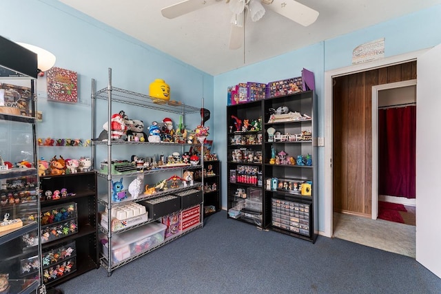 119 Kupalaiki Loop, Kihei, HI 96753 - storage area featuring a ceiling fan
