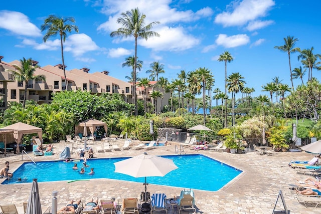 view of pool featuring a patio