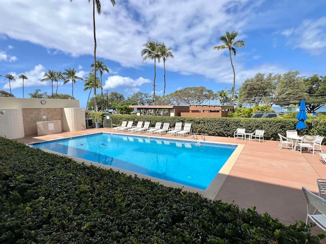 view of swimming pool with a patio area