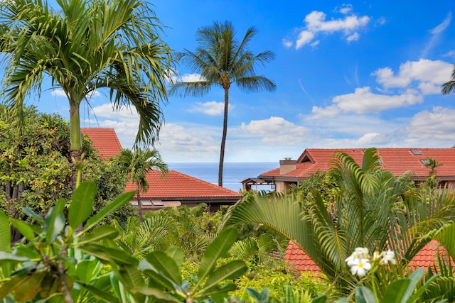 view of yard featuring a water view