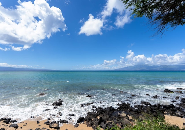 water view featuring a beach view