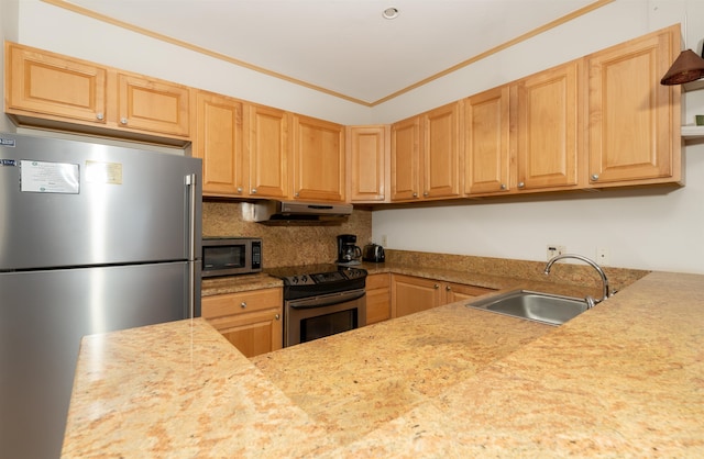 kitchen with appliances with stainless steel finishes, sink, light brown cabinetry, crown molding, and decorative backsplash