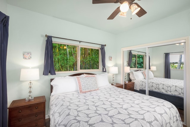 698 Kaupakalua Rd Unit A, Haiku, HI 96708 - bedroom with a closet and ceiling fan