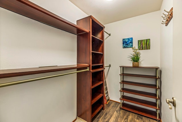 walk in closet featuring dark wood-type flooring