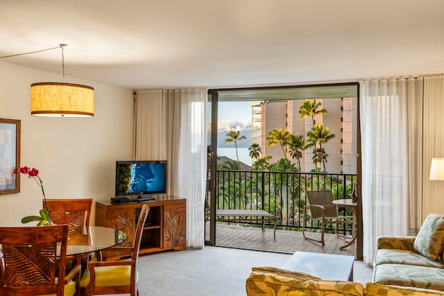 carpeted living room featuring floor to ceiling windows