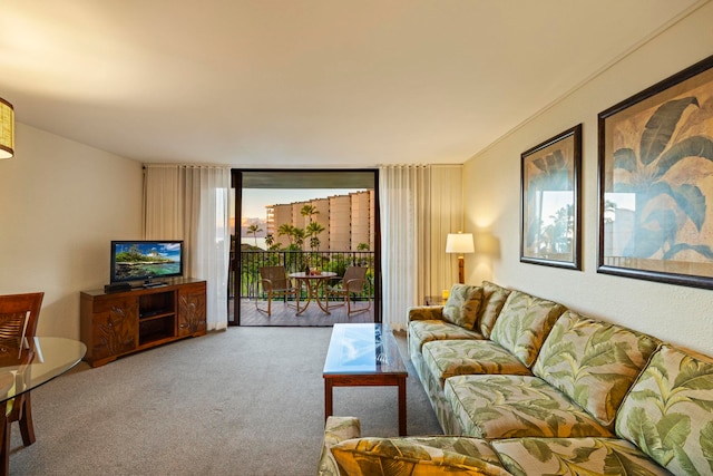 living room featuring carpet and a wall of windows