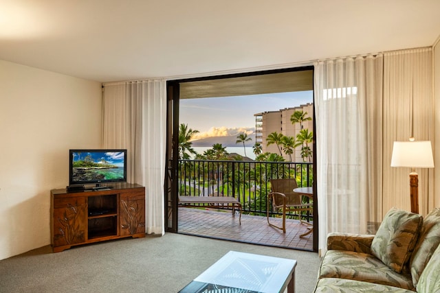 living room featuring carpet and expansive windows