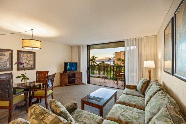 living room featuring carpet floors and a healthy amount of sunlight