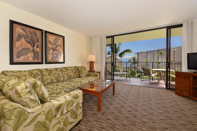 carpeted living room with expansive windows and a healthy amount of sunlight