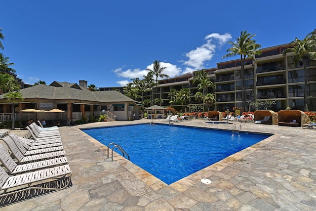 view of pool featuring a patio