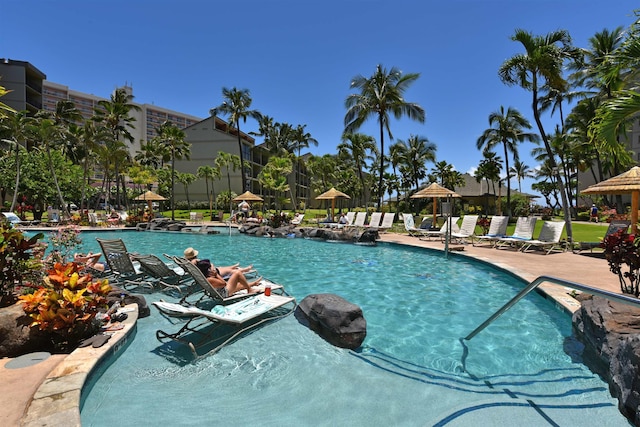 view of swimming pool