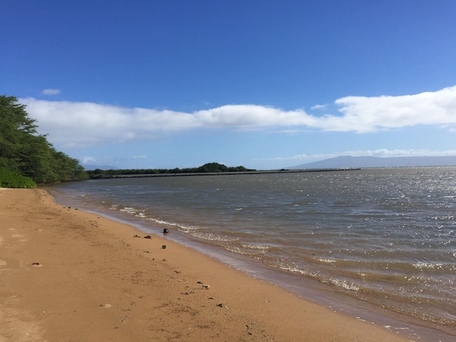 property view of water with a beach view