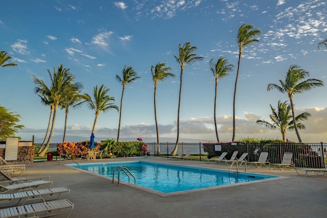 view of swimming pool featuring a patio area