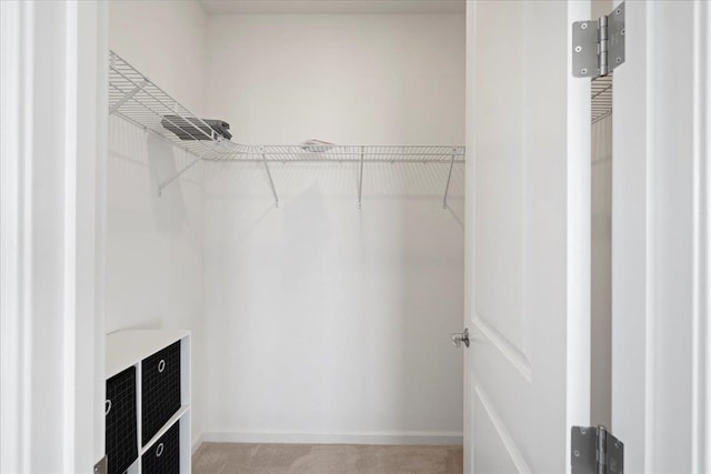 spacious closet featuring light carpet