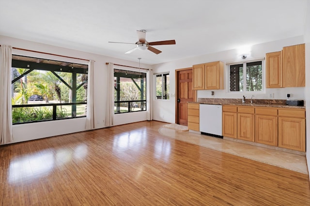 kitchen featuring a sink, ceiling fan, light wood-style floors, and white dishwasher