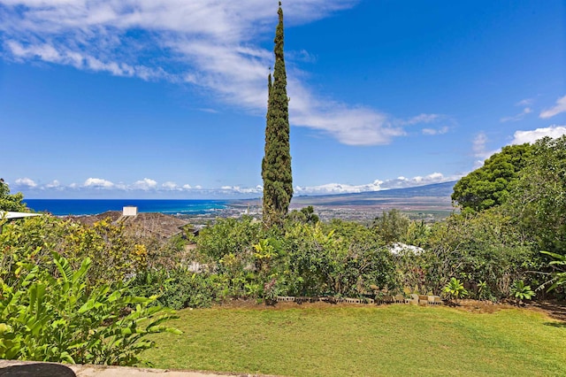219 Ekoa Pl, Wailuku, HI 96763 - view of grassy yard with a water view