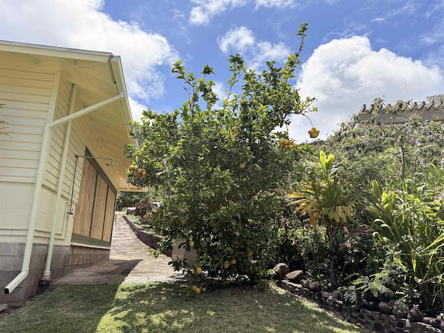 219 Ekoa Pl, Wailuku, HI 96763 - view of yard