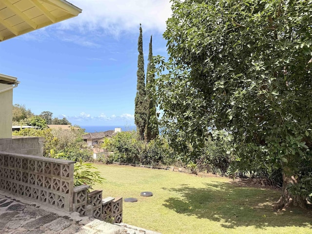 219 Ekoa Pl, Wailuku, HI 96763 - view of yard