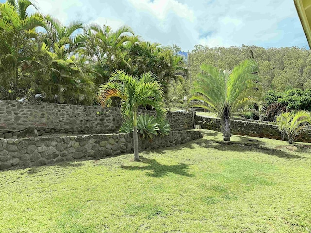 219 Ekoa Pl, Wailuku, HI 96763 - view of yard