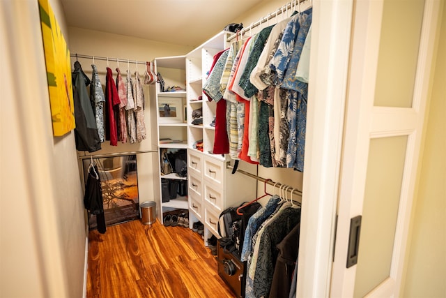 walk in closet featuring hardwood / wood-style flooring