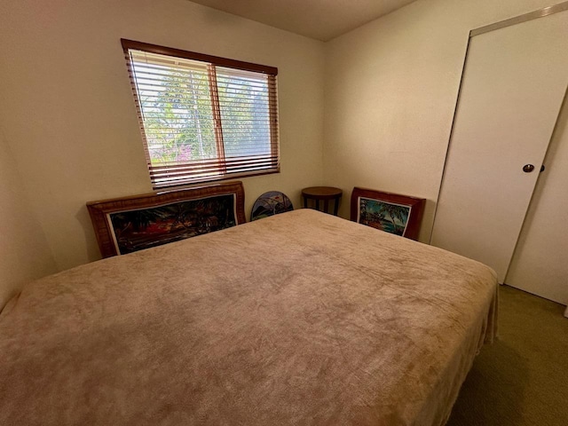 bedroom with a closet and carpet flooring