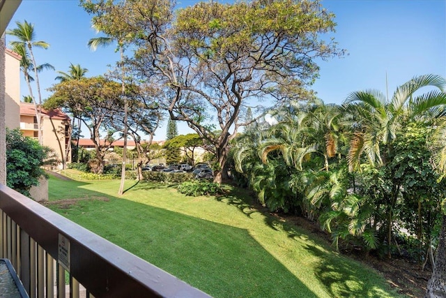 view of green lawn