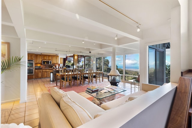 tiled living room featuring rail lighting