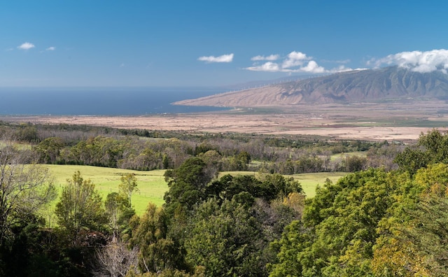 view of mountain feature