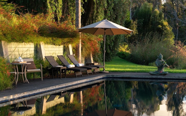 view of pool with a patio area