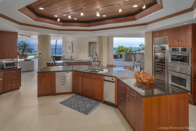 kitchen featuring a raised ceiling, crown molding, sink, and stainless steel appliances