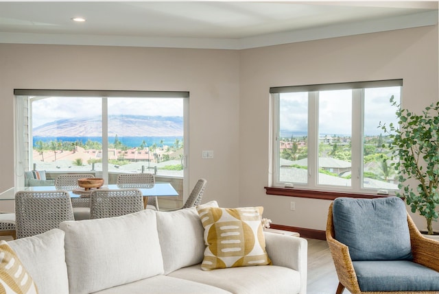 living room featuring a mountain view and wood-type flooring