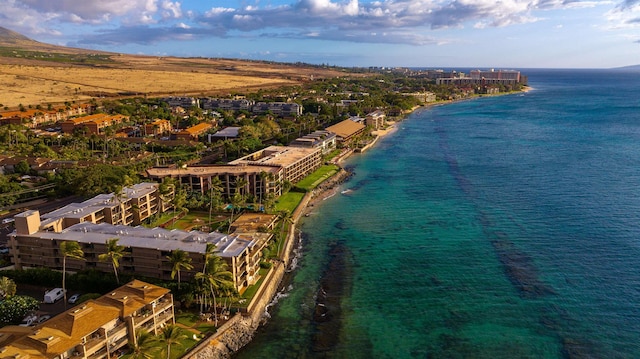 3823 Lower Honoapiilani Rd Unit 302, Lahaina, HI 96761 - bird's eye view of a nearby body of water