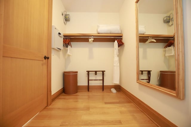 spacious closet featuring light hardwood / wood-style flooring