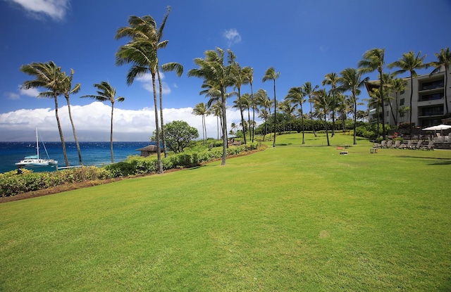 view of nearby features with a water view and a yard