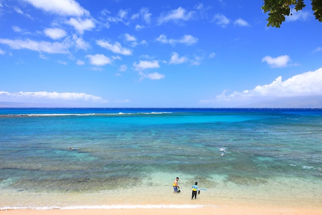 property view of water with a view of the beach