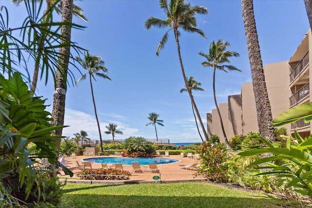 view of pool with a lawn