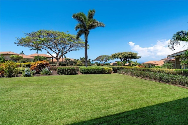 357 Umeke St Unit 144, Kihei, HI 96753 - view of yard