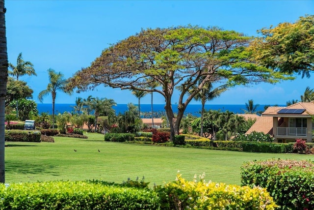 357 Umeke St Unit 144, Kihei, HI 96753 - surrounding community with a yard