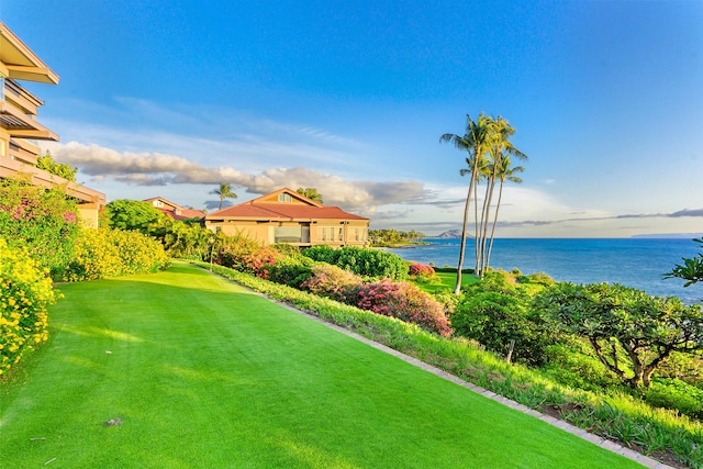 view of yard with a water view