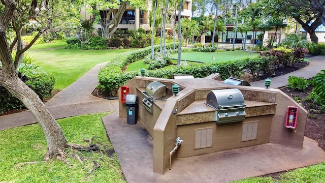 view of property's community with a yard and area for grilling