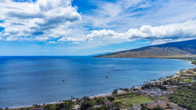 140 Uwapo Rd Unit 18-203, Kihei, HI 96753 - water view featuring a mountainous background