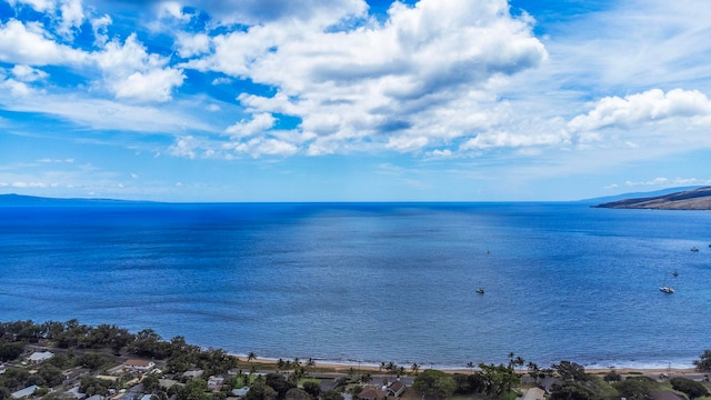 140 Uwapo Rd Unit 18-203, Kihei, HI 96753 - water view