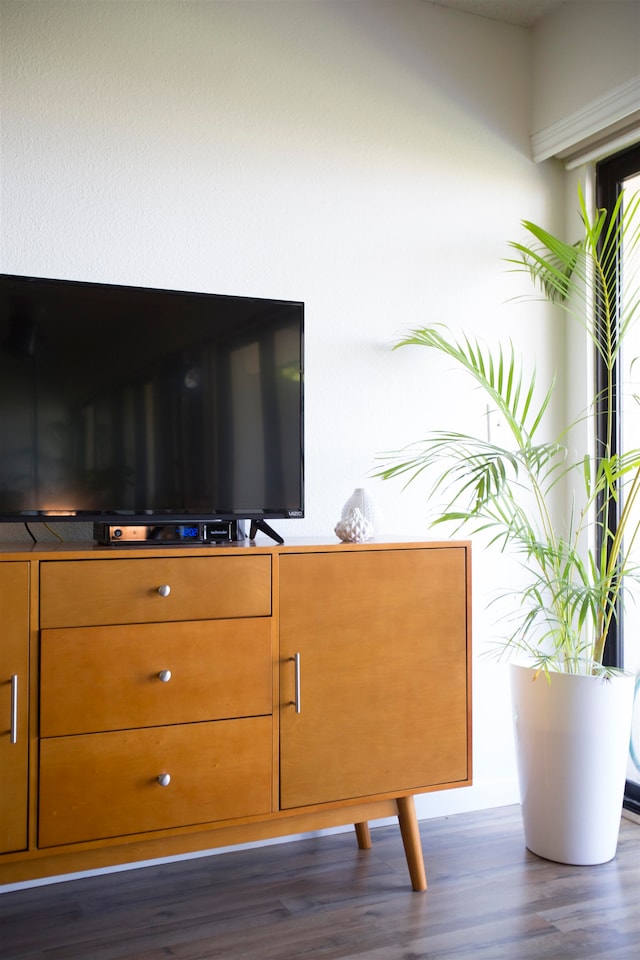 sitting room with dark hardwood / wood-style flooring