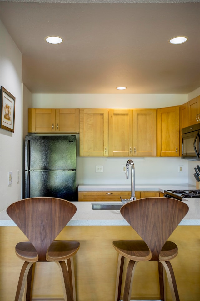 kitchen with black appliances and sink