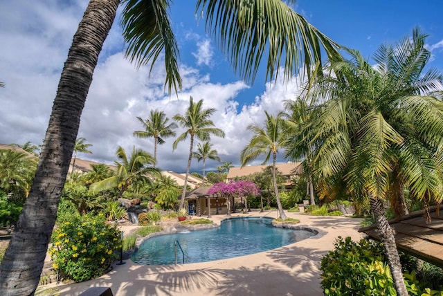 view of pool with a patio area