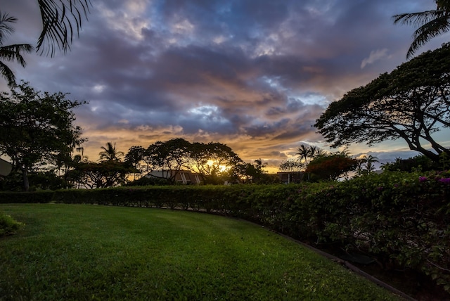 view of yard at dusk