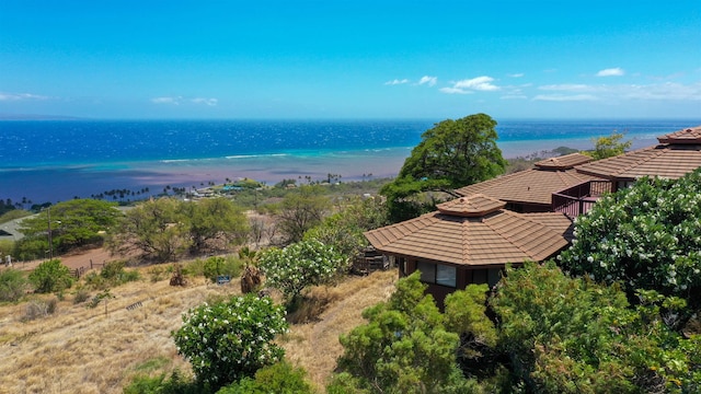 drone / aerial view featuring a water view and a view of the beach