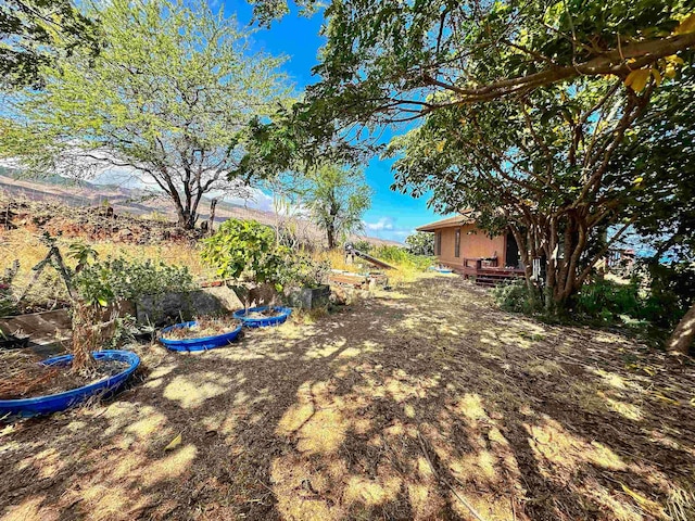 view of yard featuring a mountain view