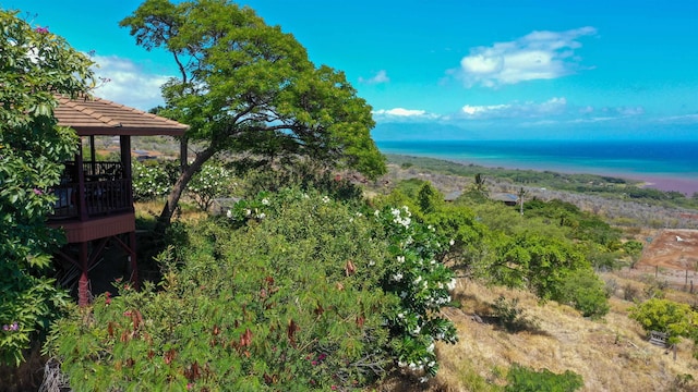 exterior space with a water view